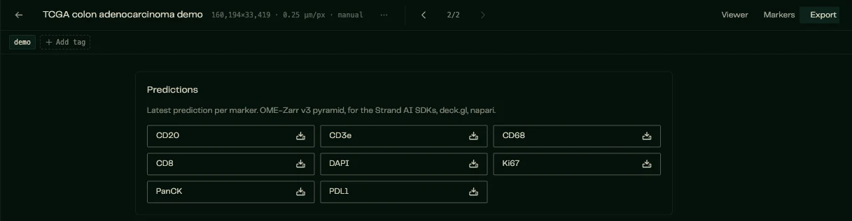 The Export tab with eight individual marker pyramids, including CD3e.