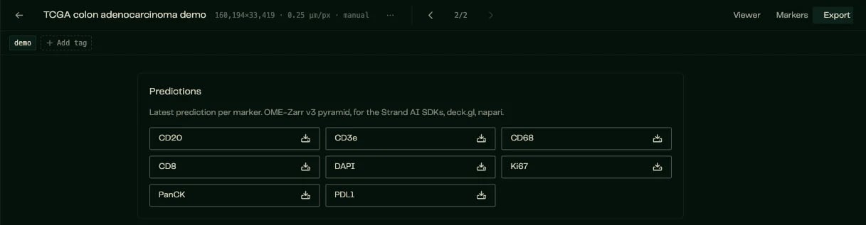 The Export tab with eight individual marker pyramids, including CD3e.