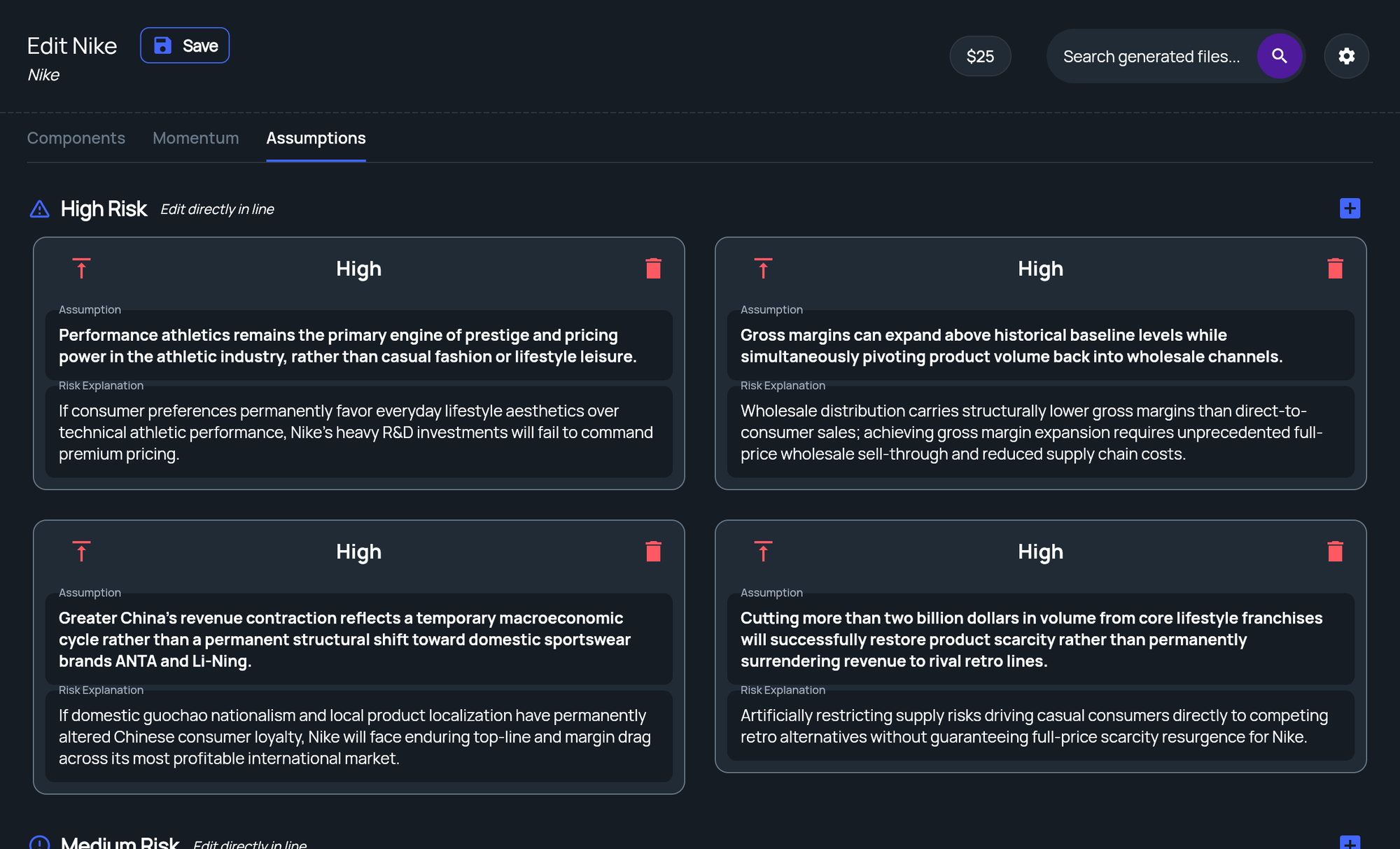 The Assumptions tab showing High Risk assumption cards with their risk explanations