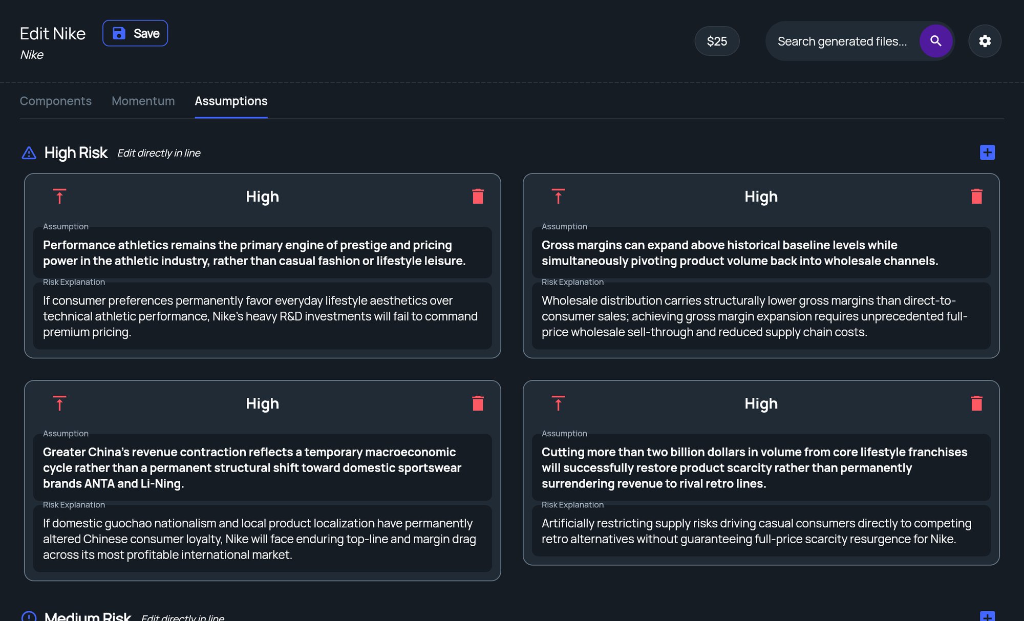 The Assumptions tab showing High Risk assumption cards with their risk explanations