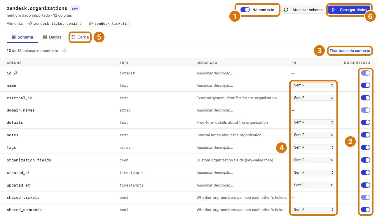 Tabela raw zendesk.organizations no catálogo, com a aba Schema, as colunas PII e No contexto e o botão Carregar dados