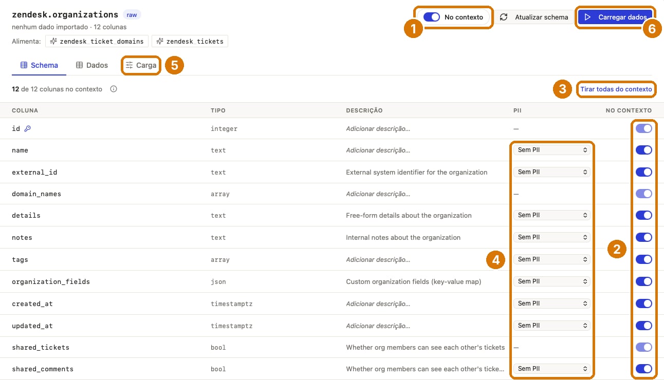 Tabela raw zendesk.organizations no catálogo, com a aba Schema, as colunas PII e No contexto e o botão Carregar dados
