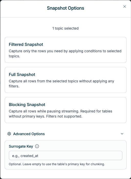 Advanced Options showing Surrogate Key configuration