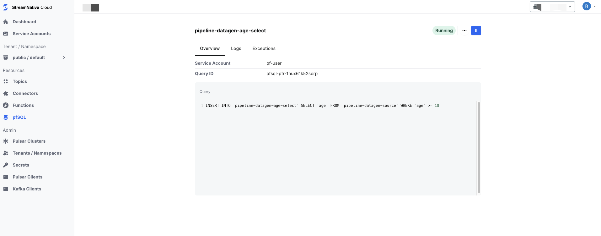 screenshot of query details