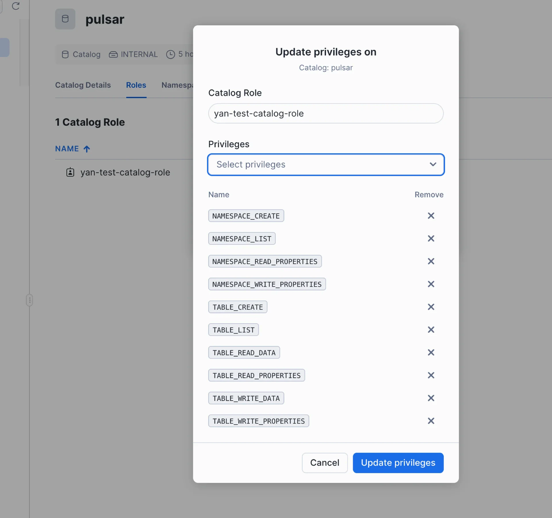 Create catalog role