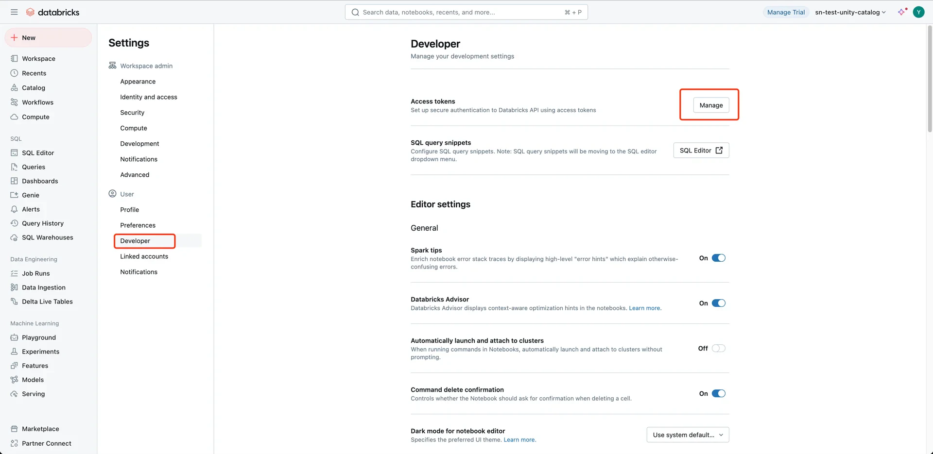 Developer settings