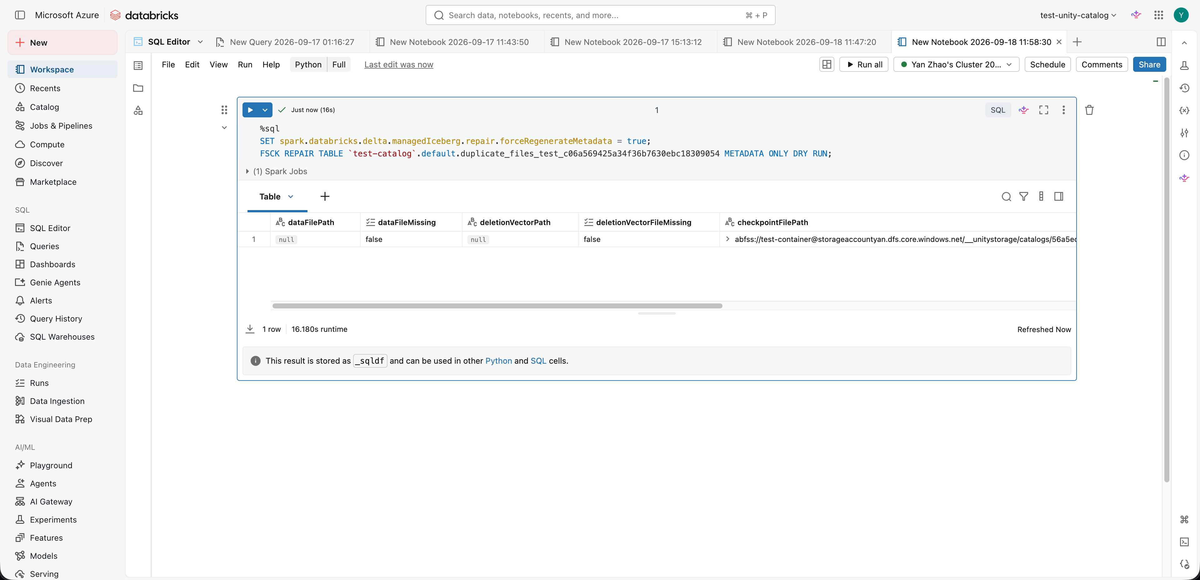 Notebook running the metadata regeneration setting and FSCK METADATA ONLY DRY RUN with a result table
