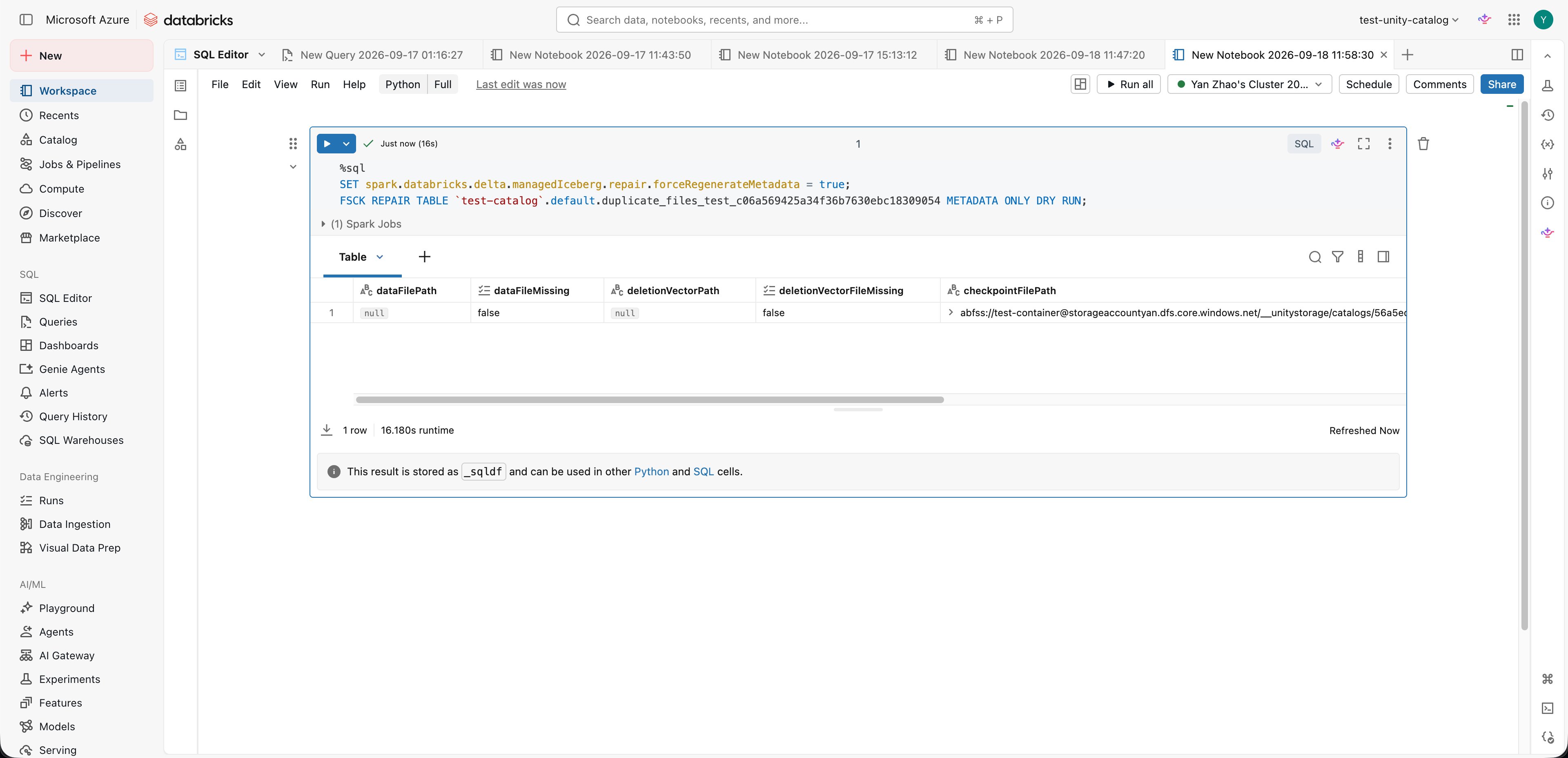 Notebook running the metadata regeneration setting and FSCK METADATA ONLY DRY RUN with a result table