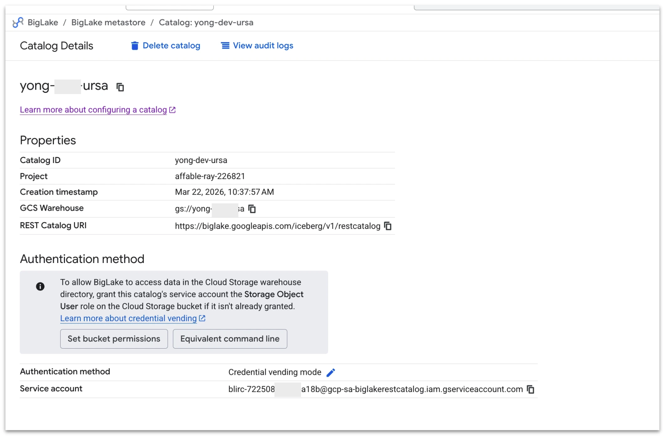 View BigLake Catalog Details