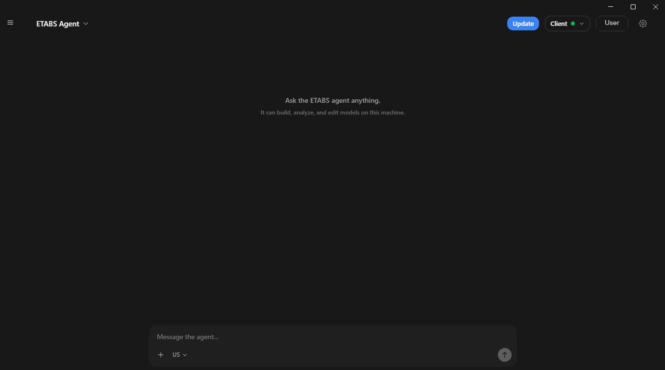 Chat with the agent directly in the Stru AI app