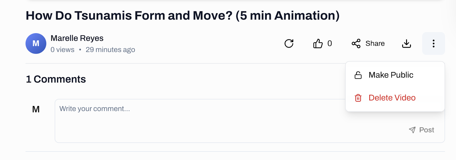 The comment section is there as your videos can be viewed publicly by simply clicking the more options icon and clicking Make Public. You may also use this option to erase your video by clicking Delete Video Image of the explainer video title and on the right side, highlighted on the vertical ellipsis icon showing the dropdown options