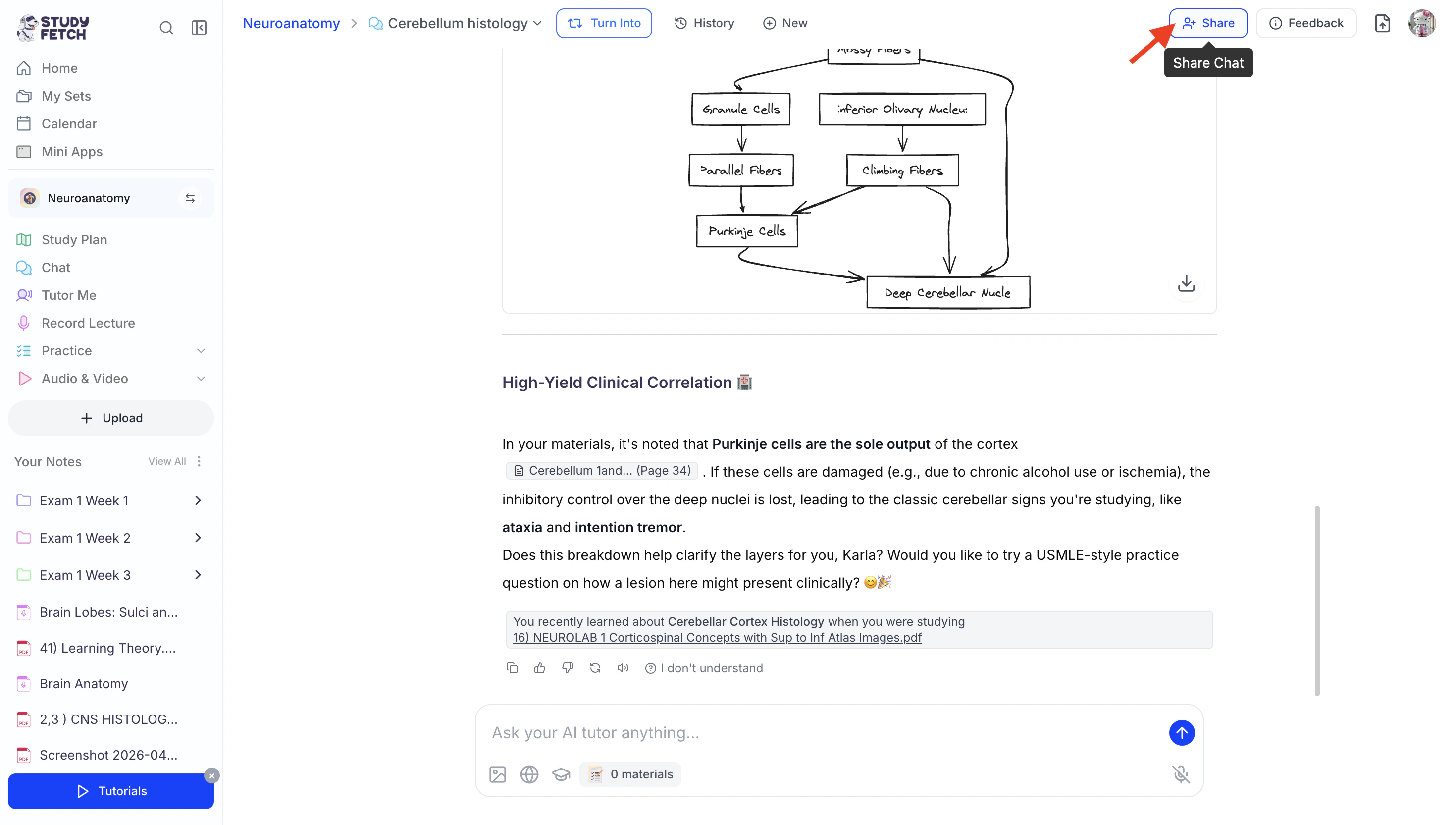 Screenshot2026 04 01at6 04 29PM