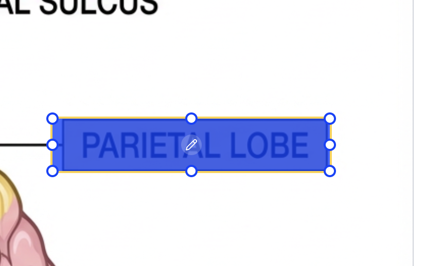Screenshot 2026 02 17 At 12 04 14 PM Screenshot 2026 02 17 At 12 04 14 PM