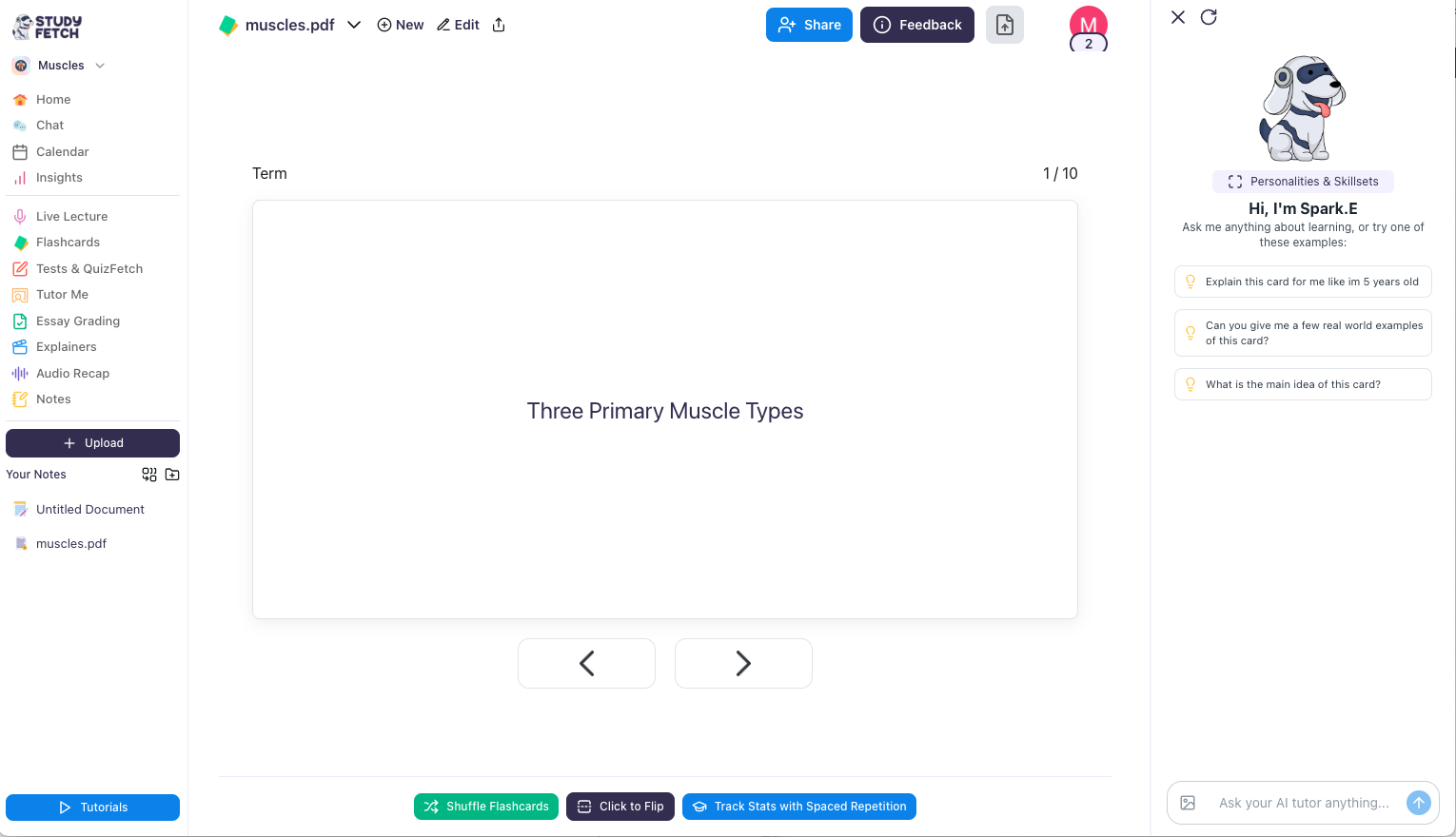 Then, your Flashcards will be automatically generated Image showing the flashcards that have been created