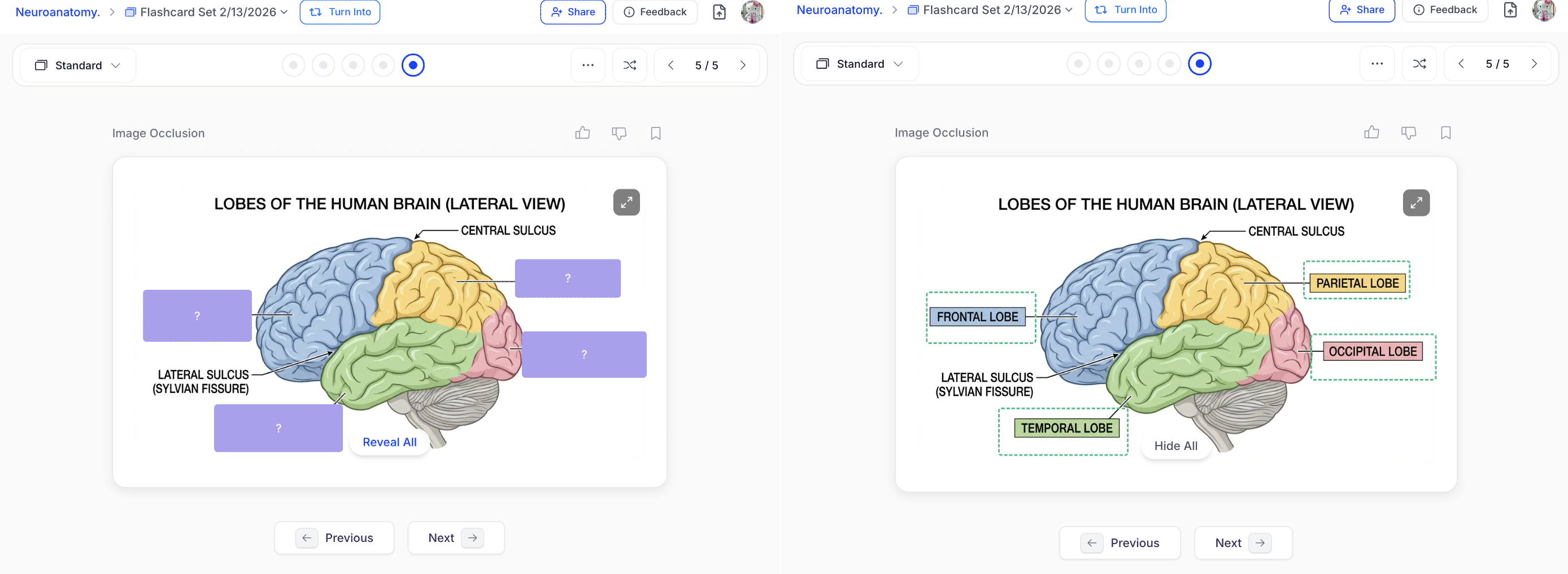 Screenshot2026 02 18at1 41 38PM