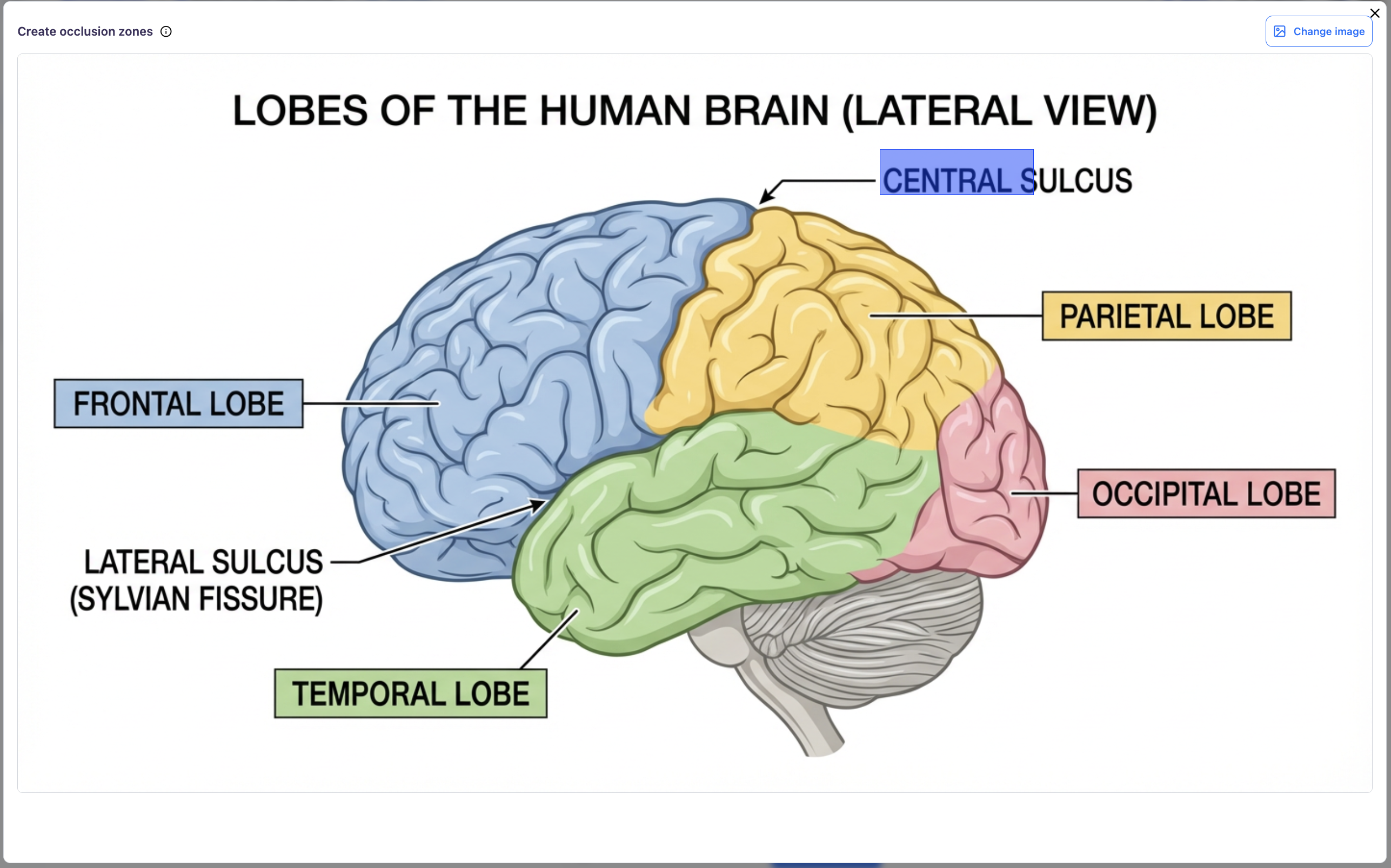 Screenshot 2026 02 16 At 5 24 46 PM Screenshot 2026 02 16 At 5 24 46 PM