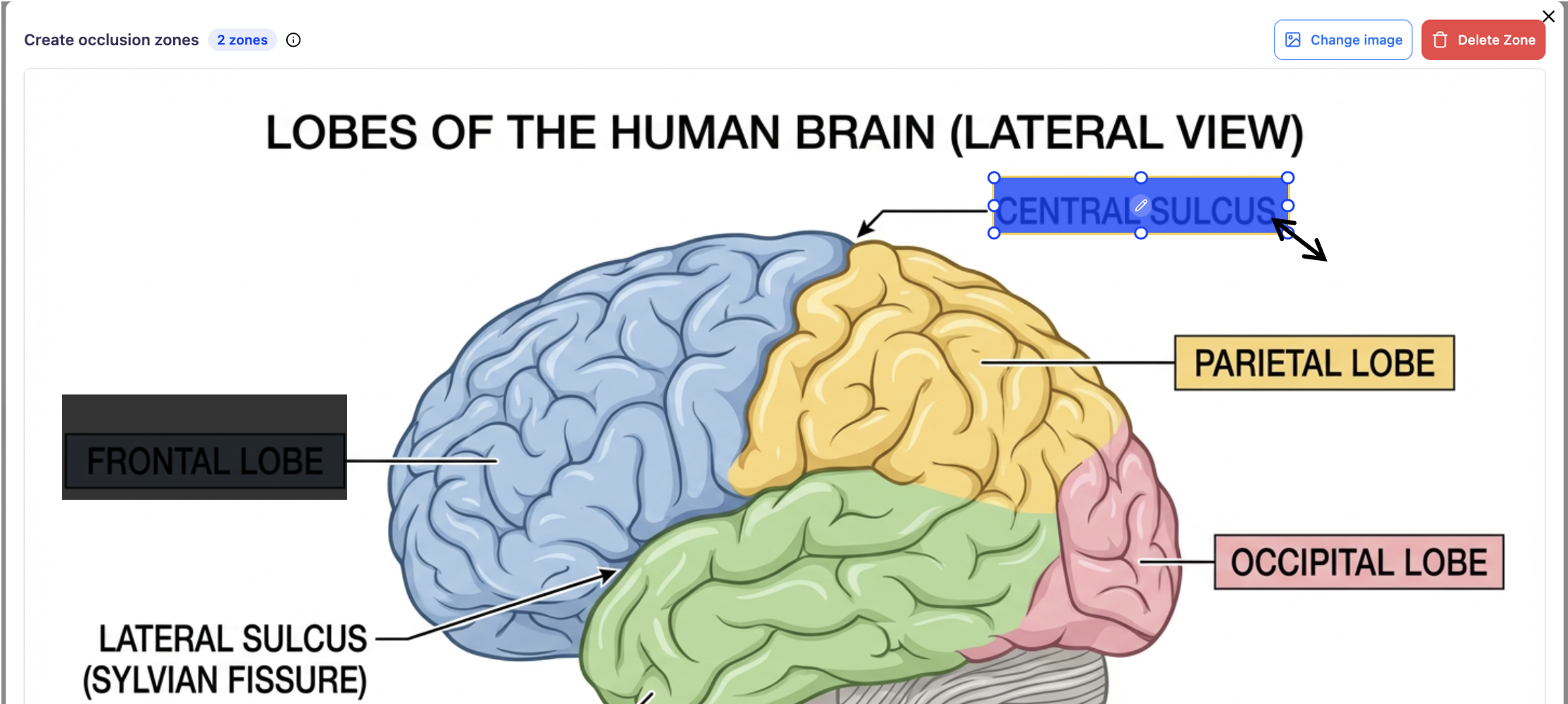 Screenshot 2026 02 16 At 5 28 50 PM Screenshot 2026 02 16 At 5 28 50 PM