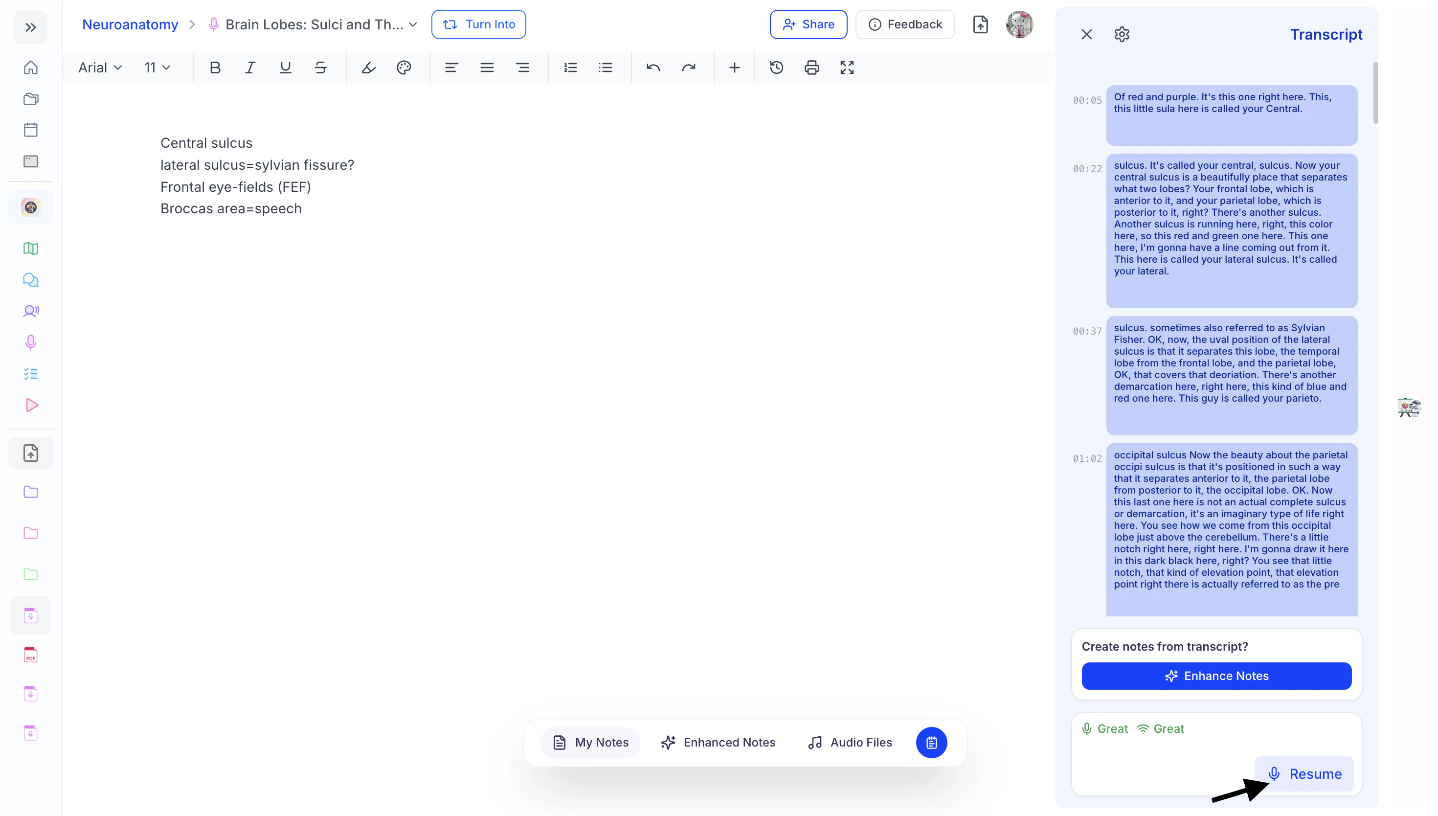 Screenshot2026 03 20at11 17 49AM 1