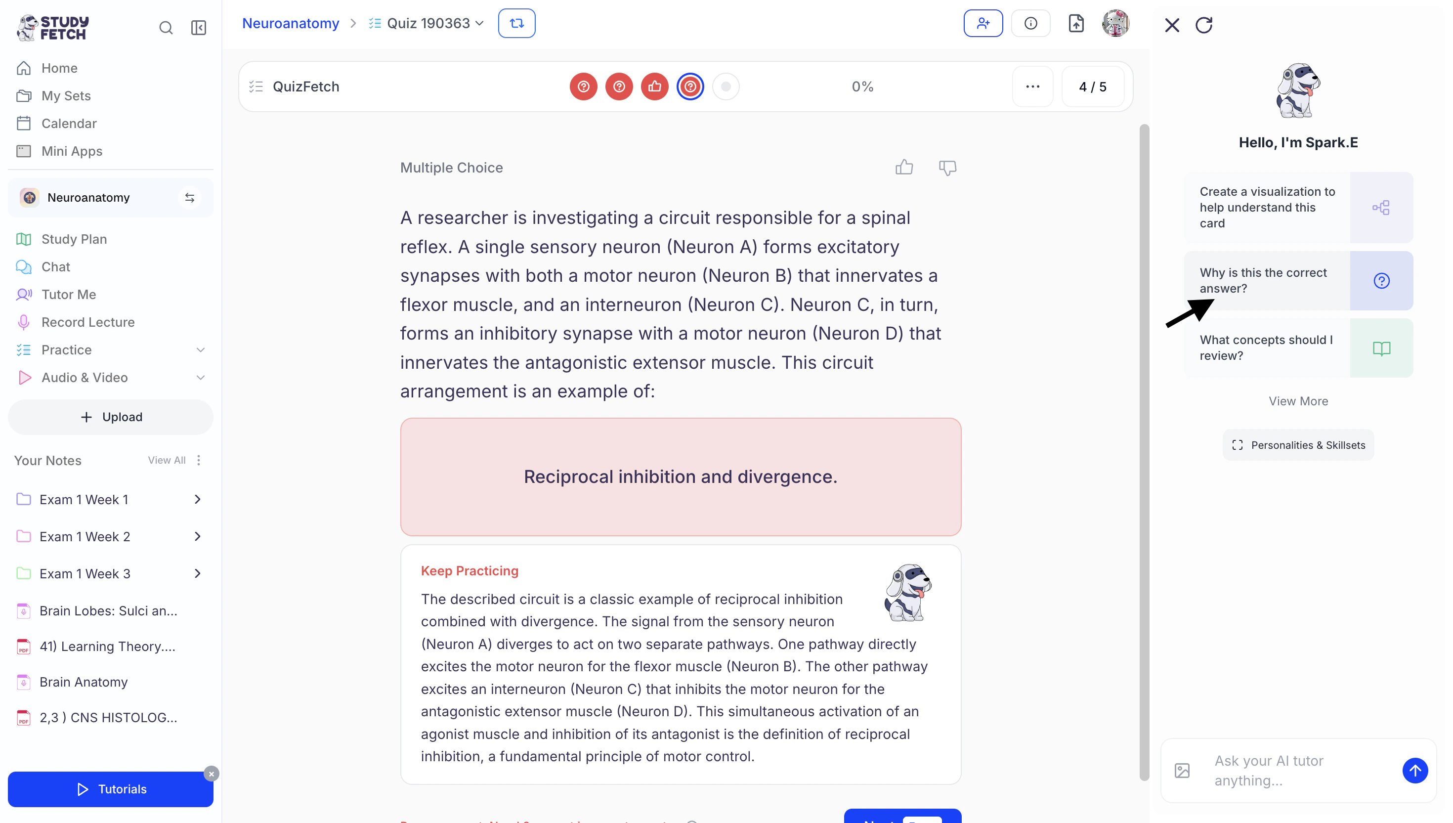 Screenshot2026 03 26at2 47 24PM 1