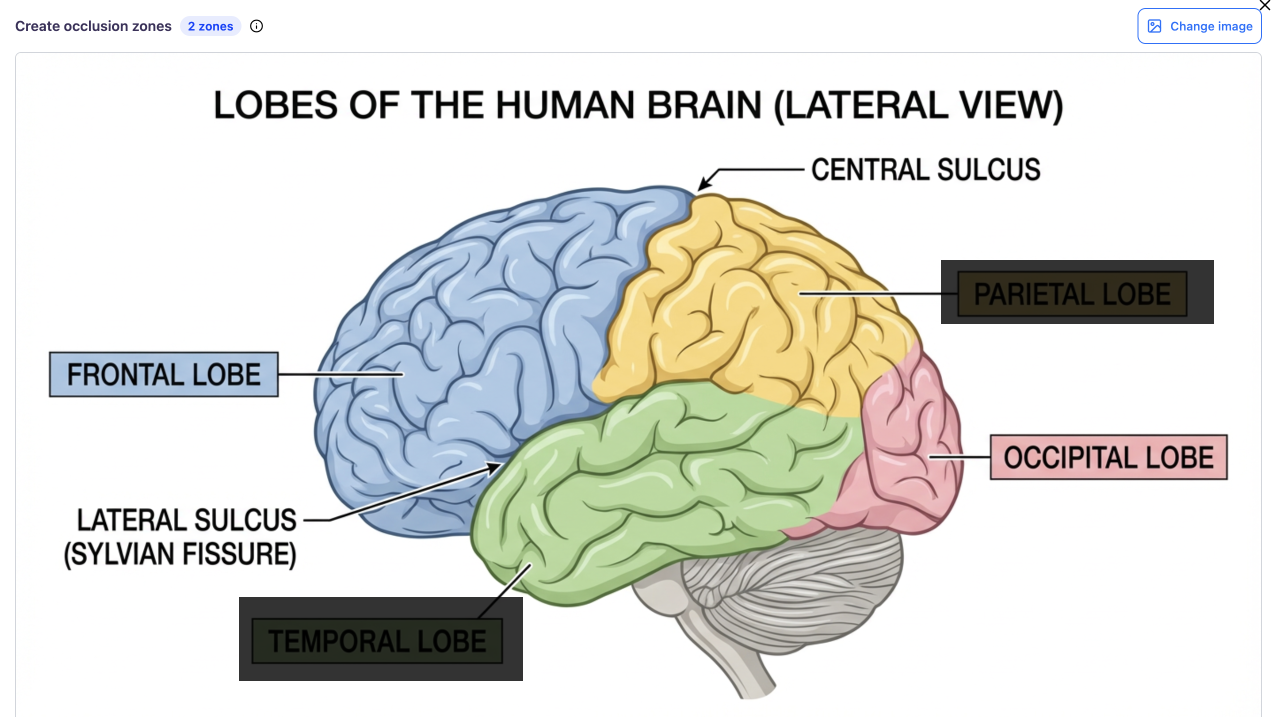 Screenshot 2026 02 17 At 3 34 08 PM Screenshot 2026 02 17 At 3 34 08 PM