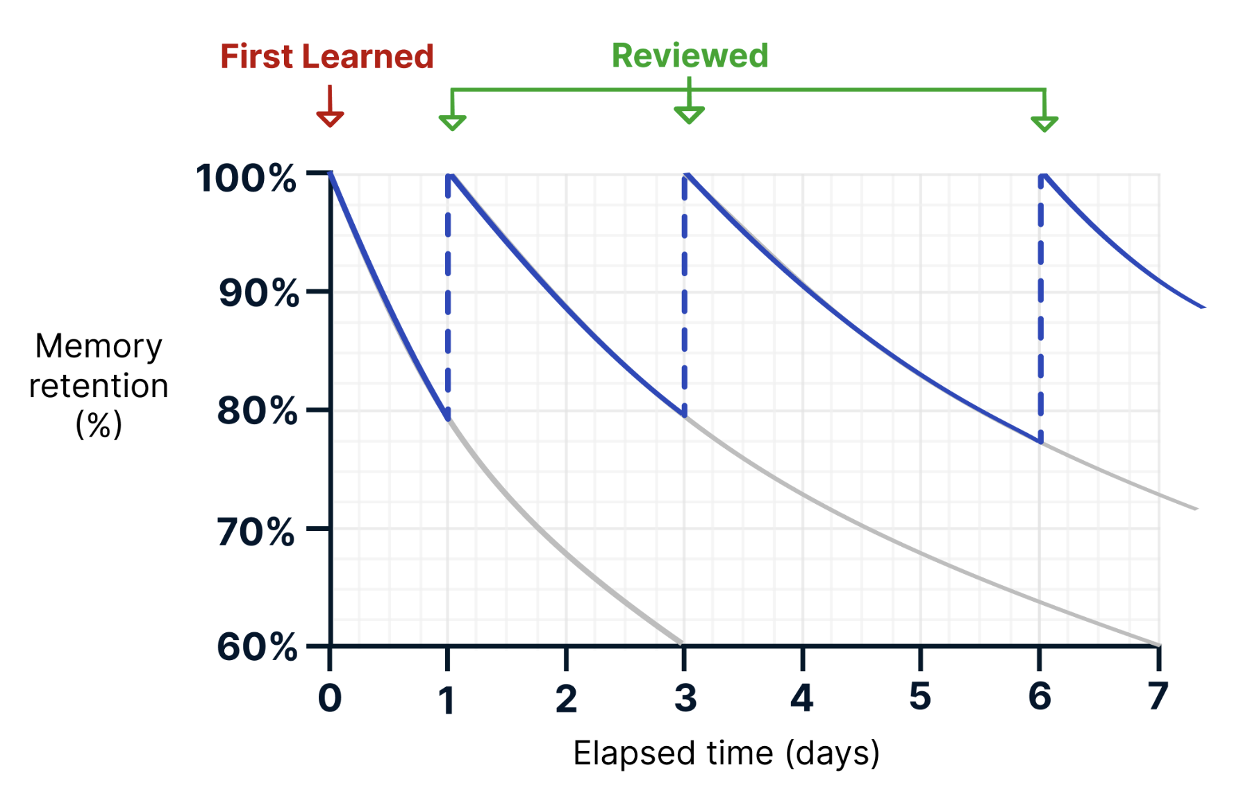Forgetting Curve vs Spaced Repetition (example)