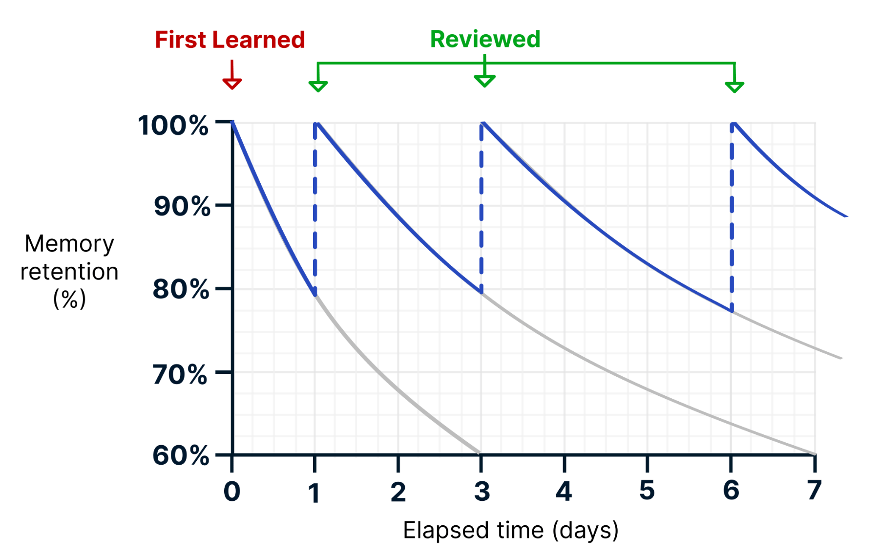 Forgetting Curve vs Spaced Repetition (example)