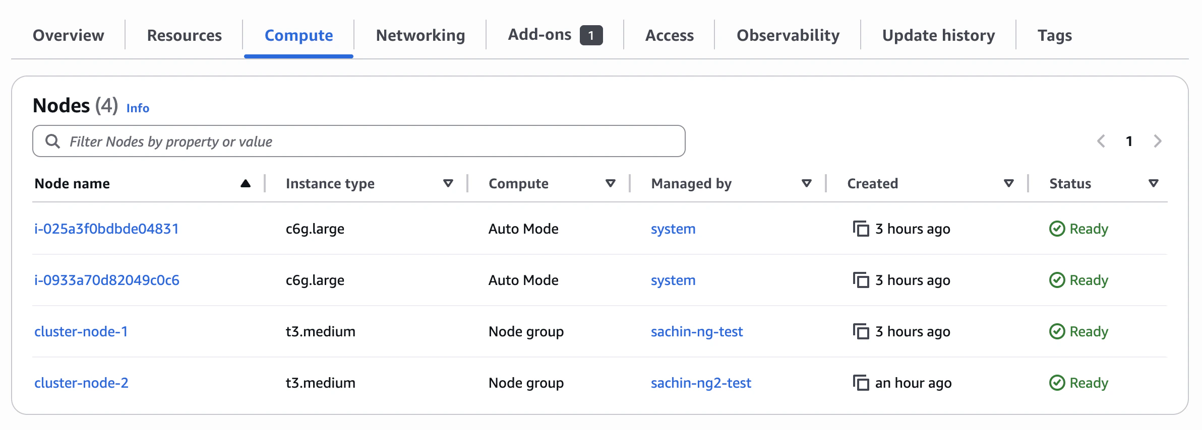 Cluster nodes