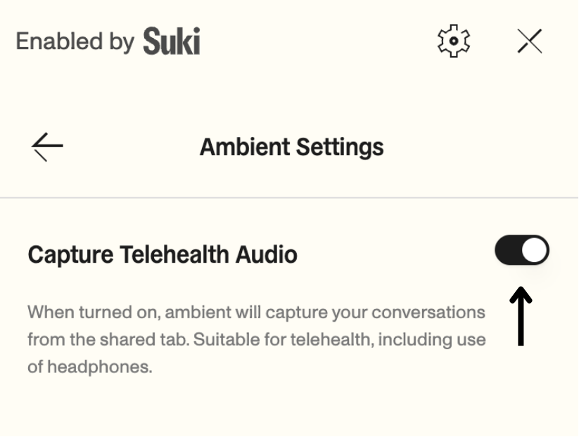 Telehealth Audio Capture