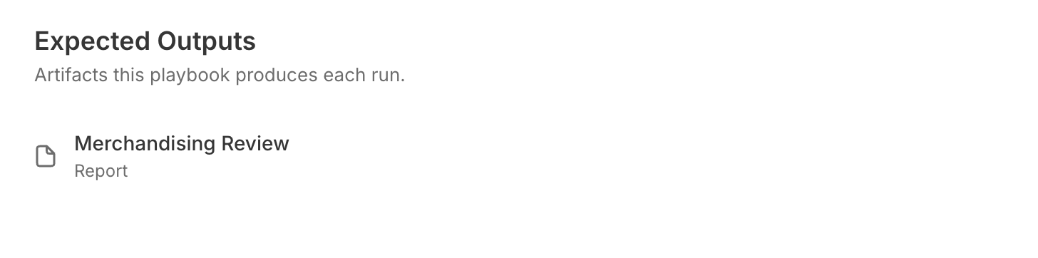 The Expected Outputs section listing 'Merchandising Review' as a Report-type output, with a document icon.