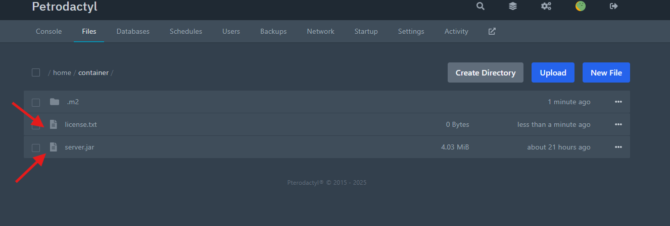 server.jar and license.txt in the server files