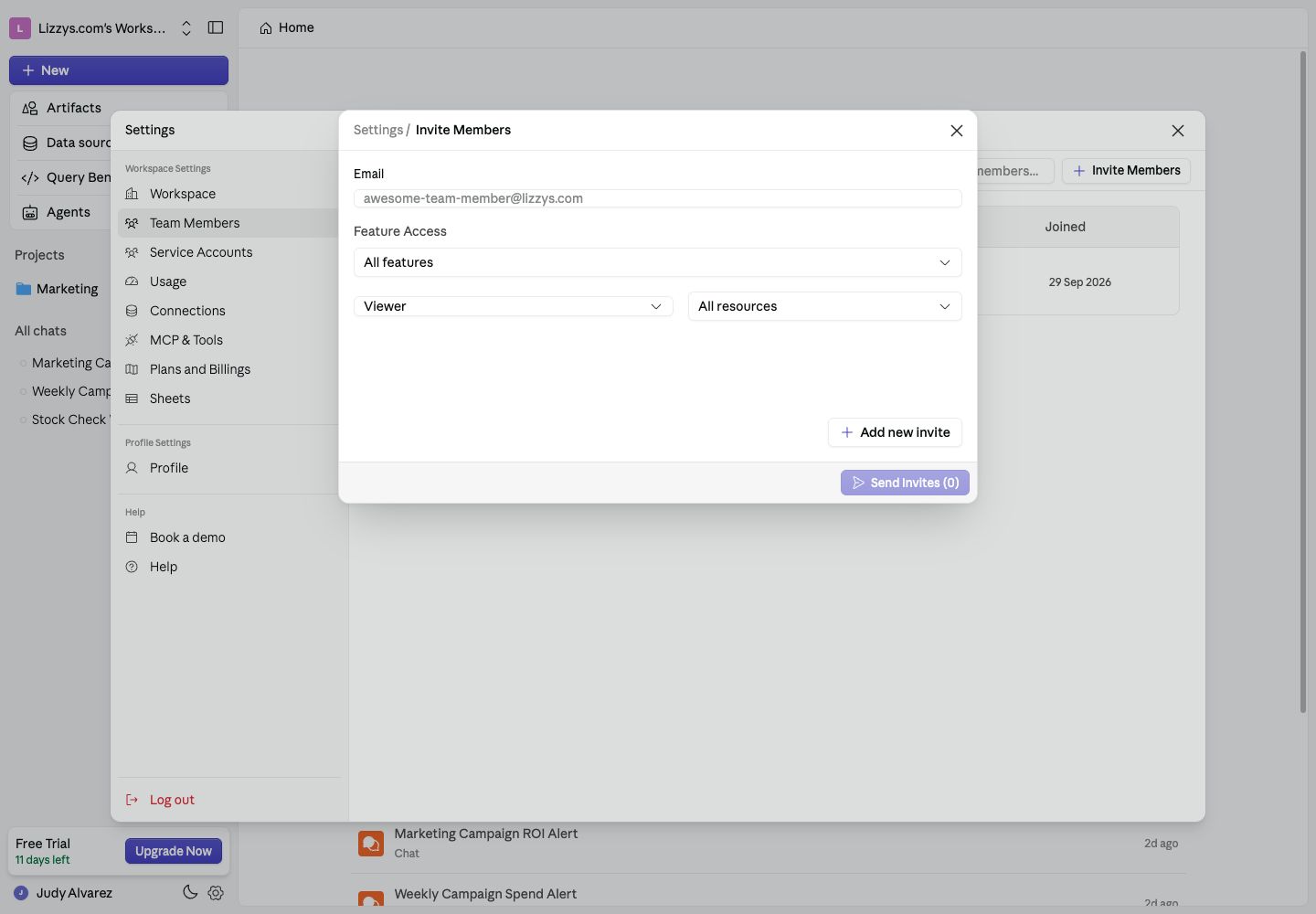 Invite Members form showing email, feature access, workspace role, and resource access