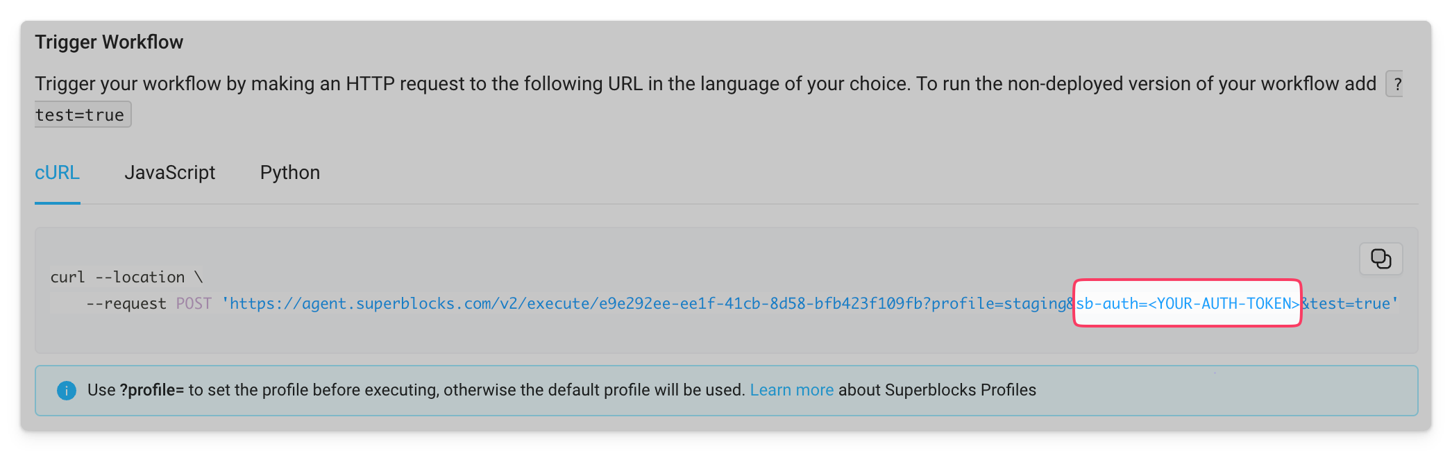 Authorization token in URL Authorization token in URL