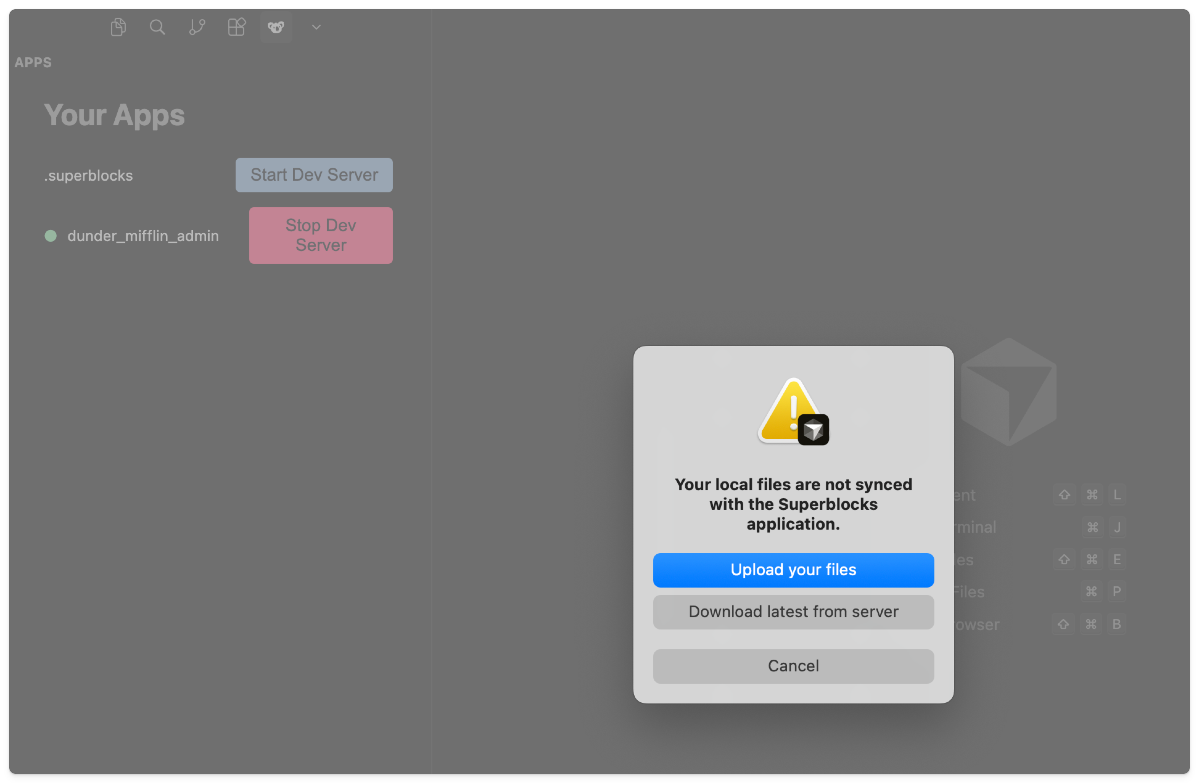 Local start dev prompt