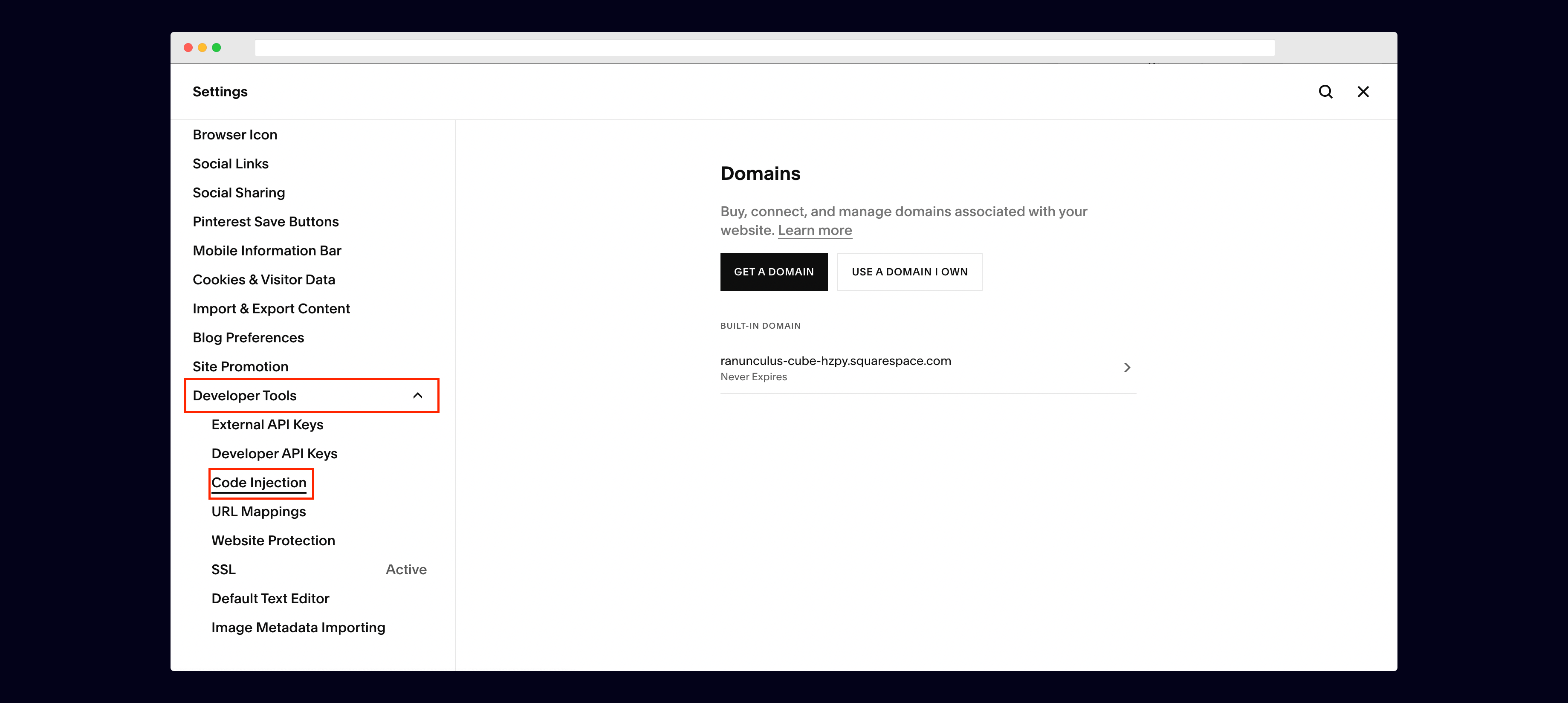 Squarespace: Go to Developer Tools -> Code Injection within Settings