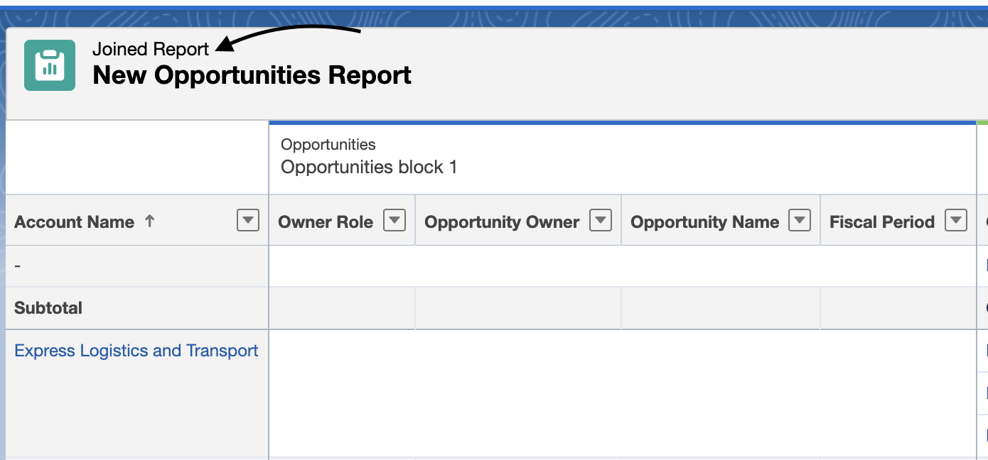 Salesforce Joined Report Example