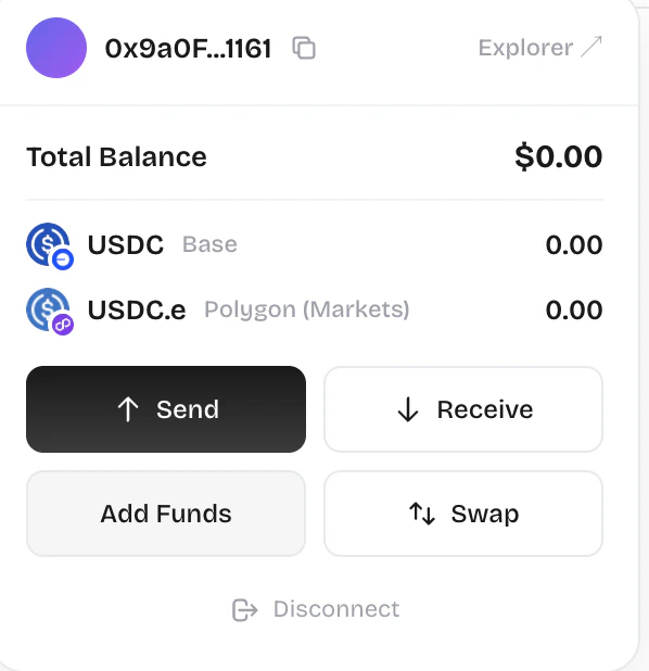 Wallet panel showing your USDC balance