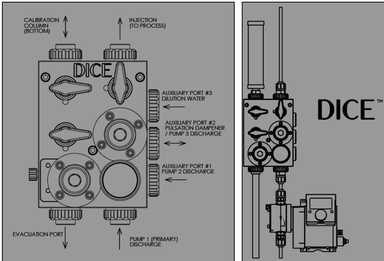 DICE DS system schematic showing pump, module, and process connections