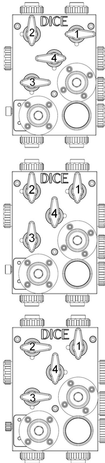 DICE DM showing valves 1, 2, 3, 4 positions