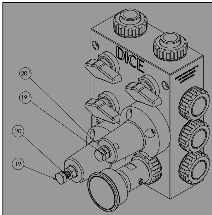 DICE module showing adjustment screw (19) and counter nut (20)
