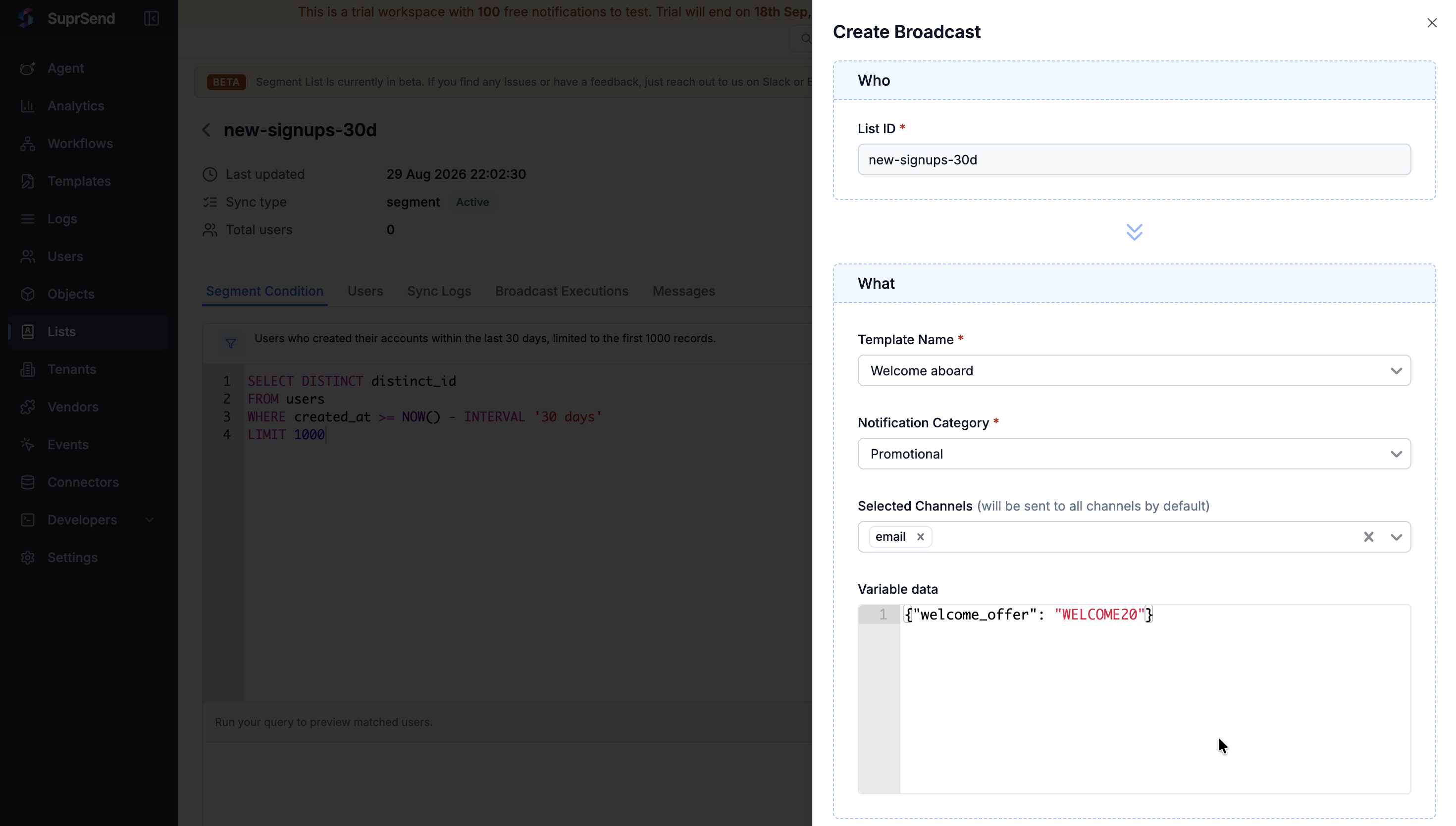 The Run Broadcast form with the list, template, preference category, channels, variable data and scheduling fields