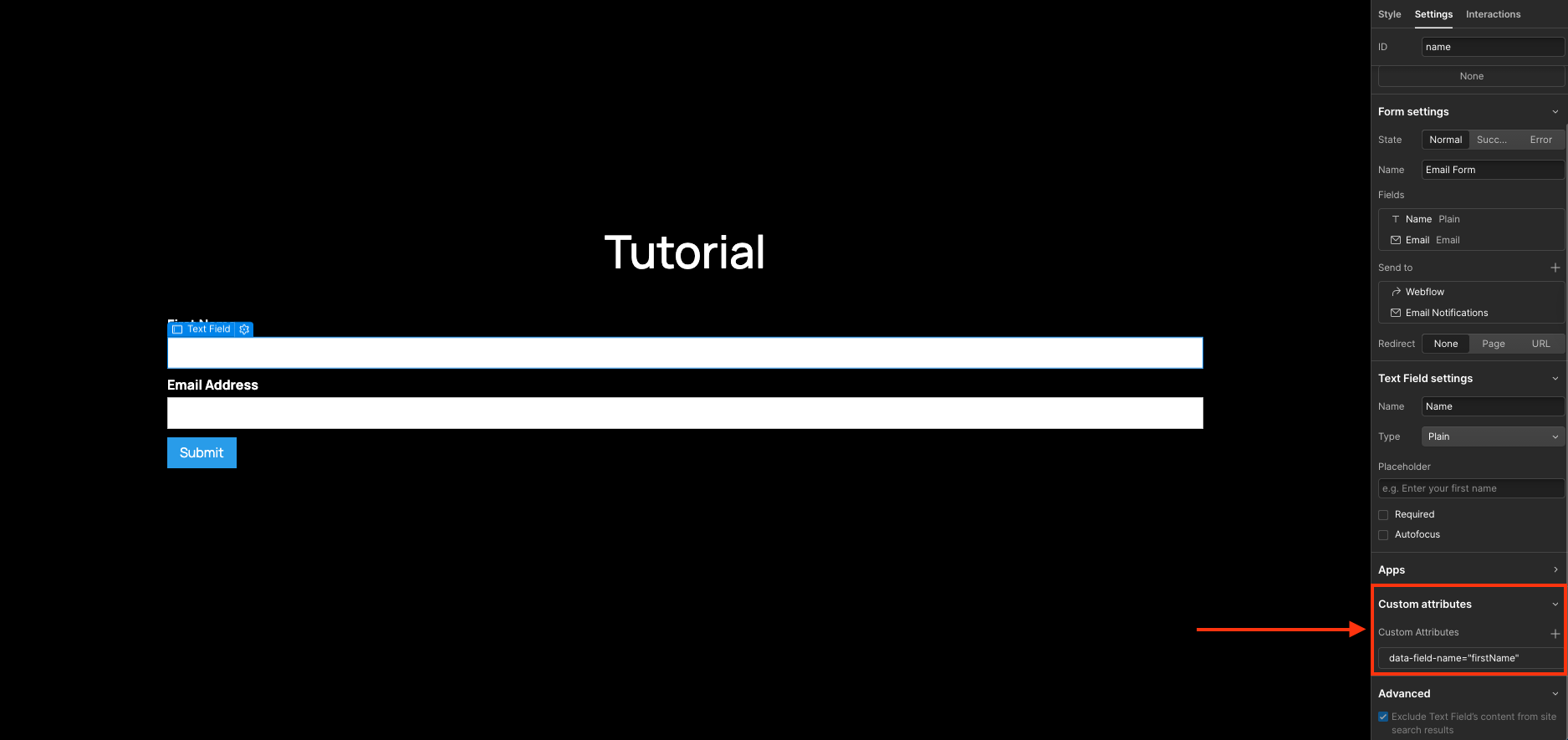 Field Name Attribute