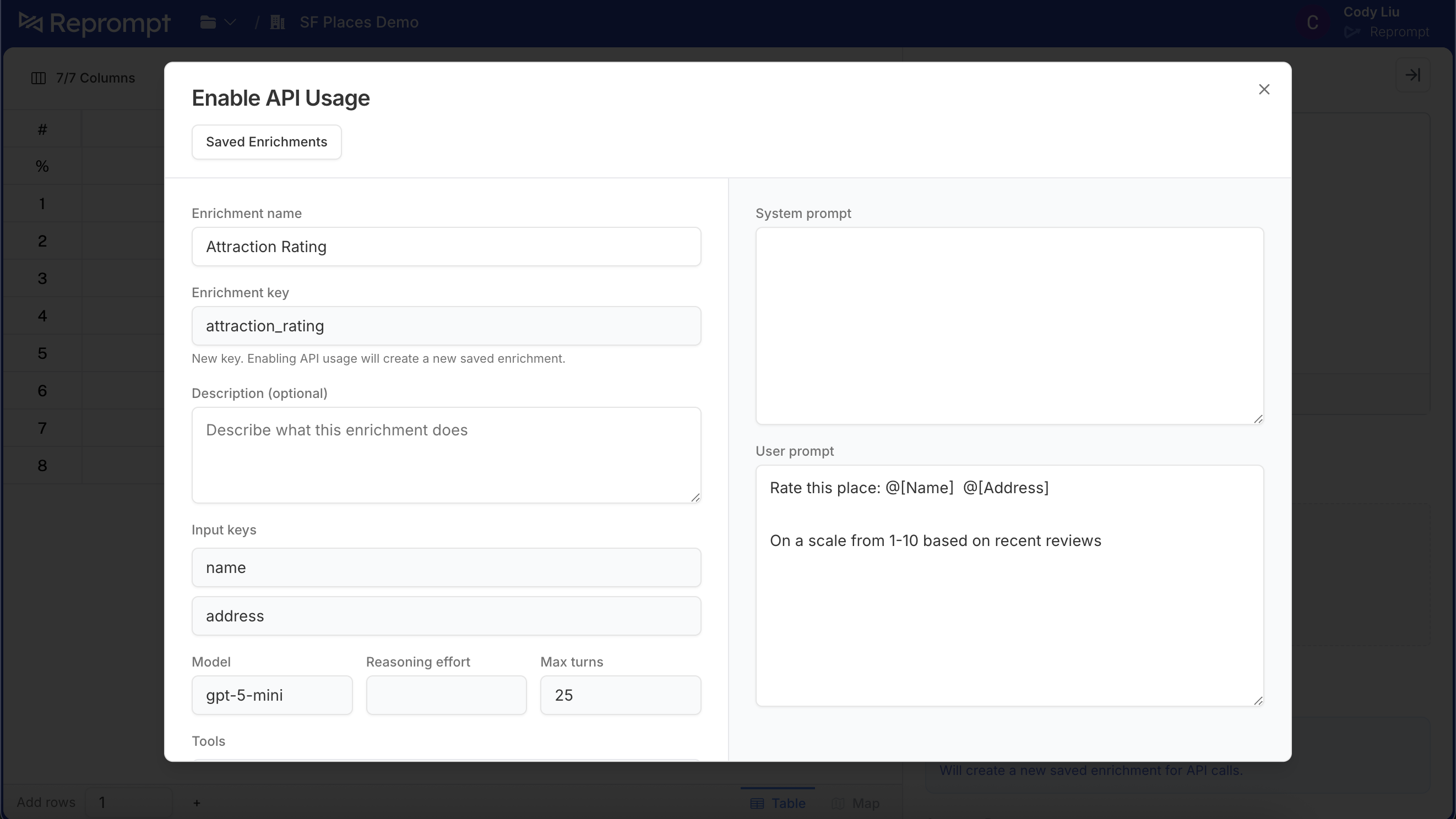 Enable API usage panel with name and description
