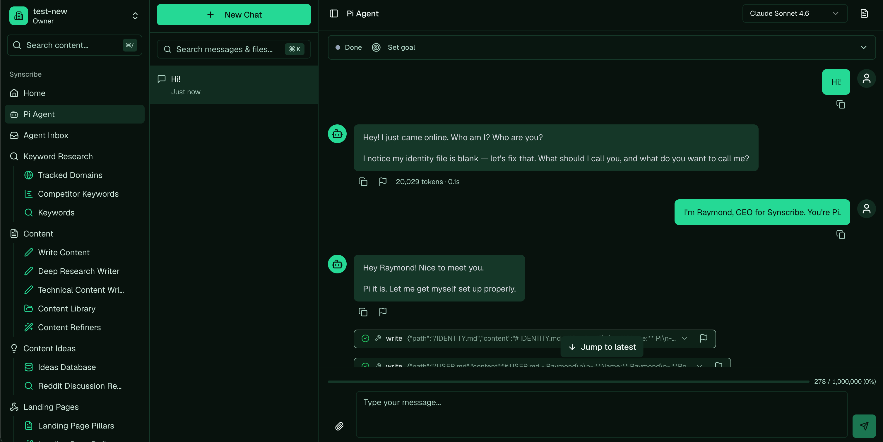 Pi's first chat, asking who you are and what to call it, then writing its IDENTITY and USER files.