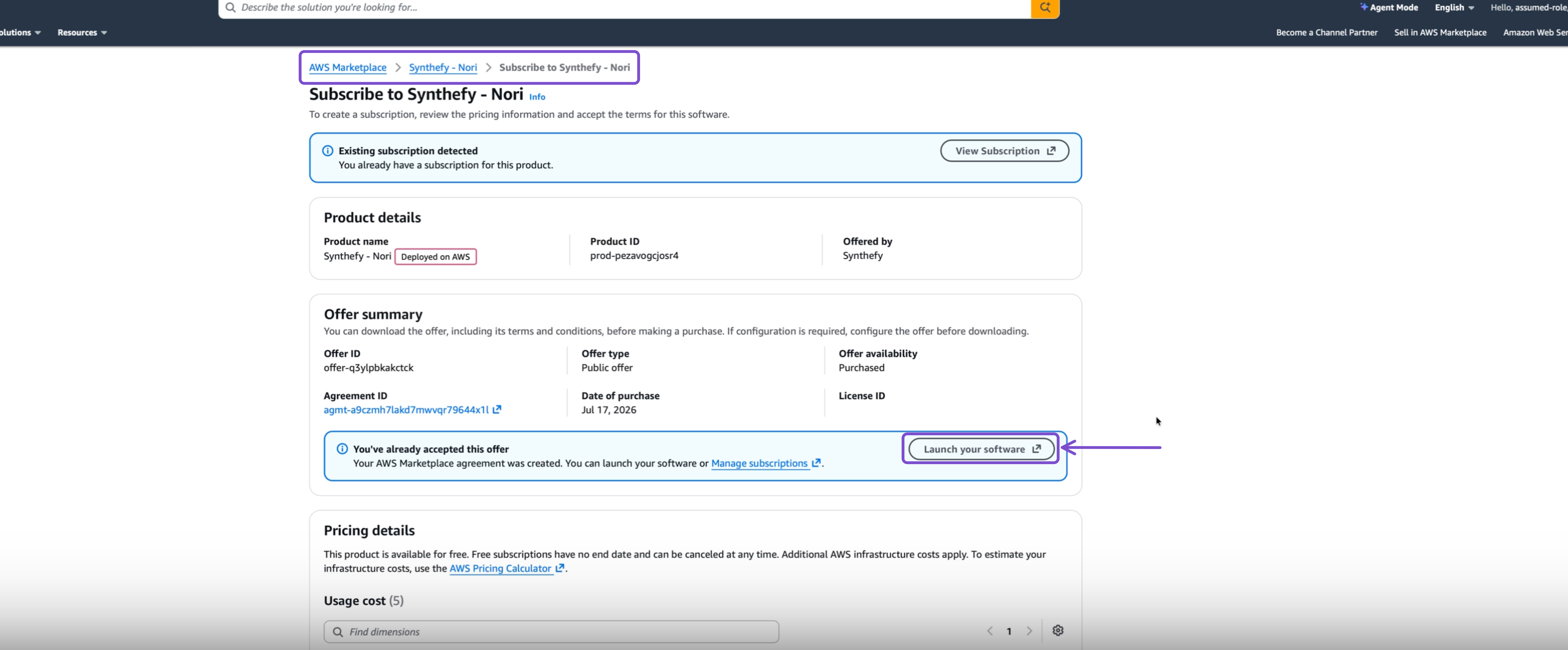 AWS Marketplace subscription page with Launch your software highlighted