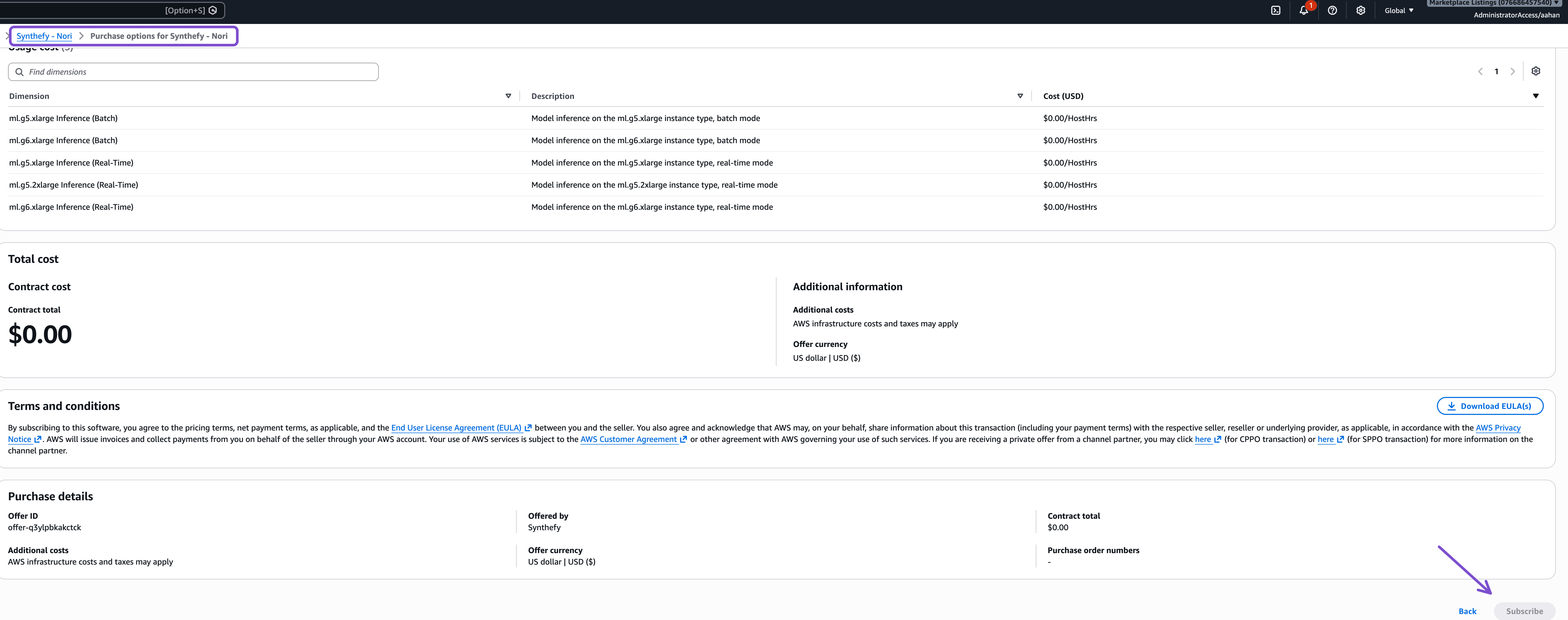 Synthefy Nori purchase options page with Subscribe highlighted