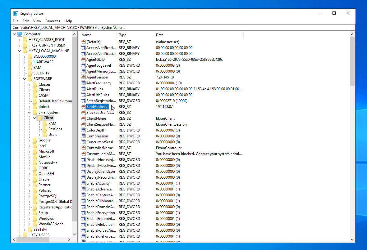 Registry Editor showing the BindAddress value under the EkranSystem Client key