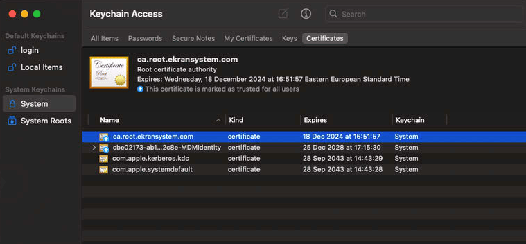 Workspace ONE UEM profile deployment confirmation