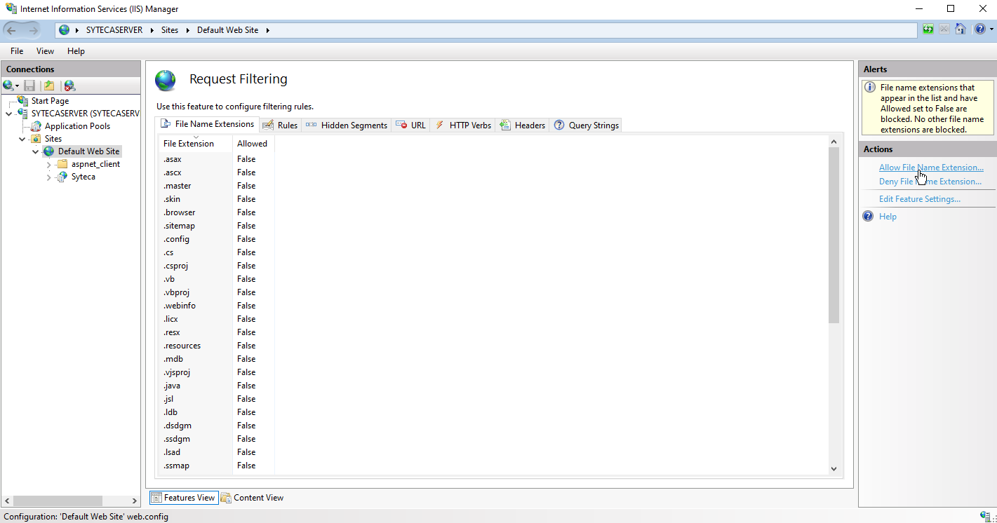 IIS Manager Request Filtering pane with the Allow File Name Extension dialog
