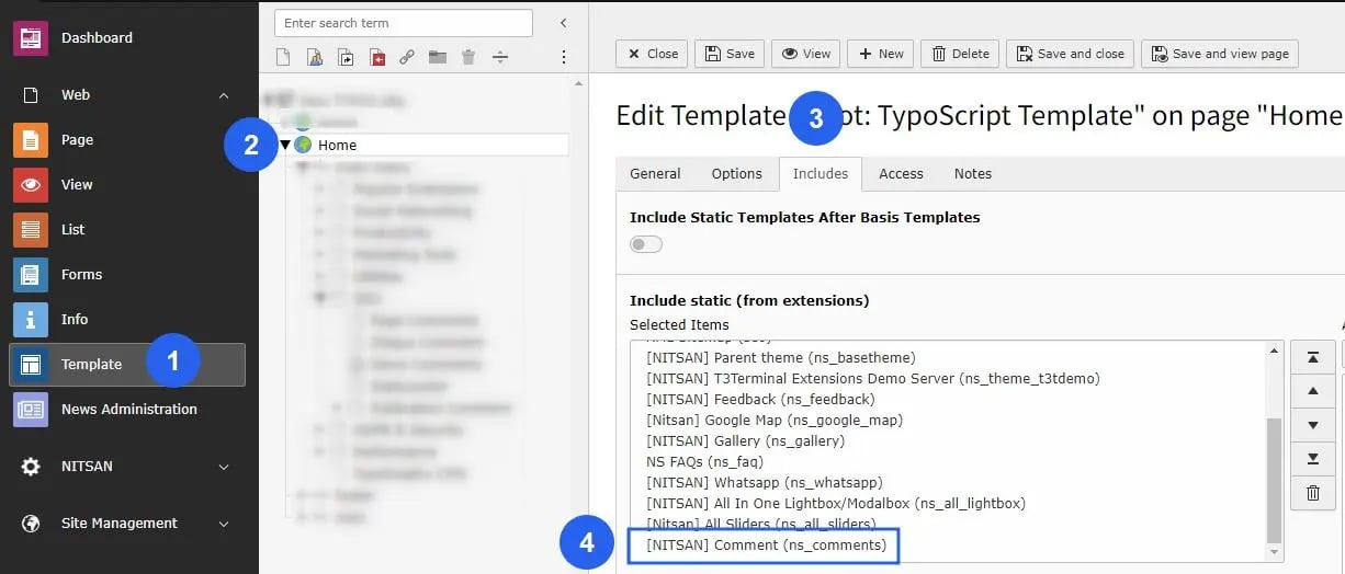 Activate Typoscript