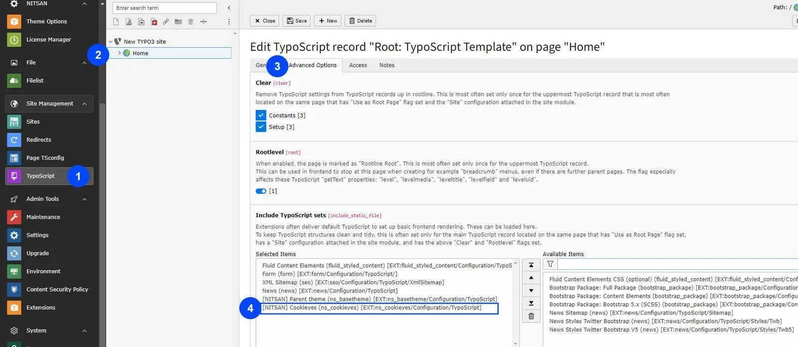 Activate Typoscript